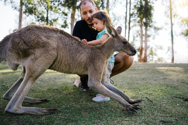 Girl petting kangaroo